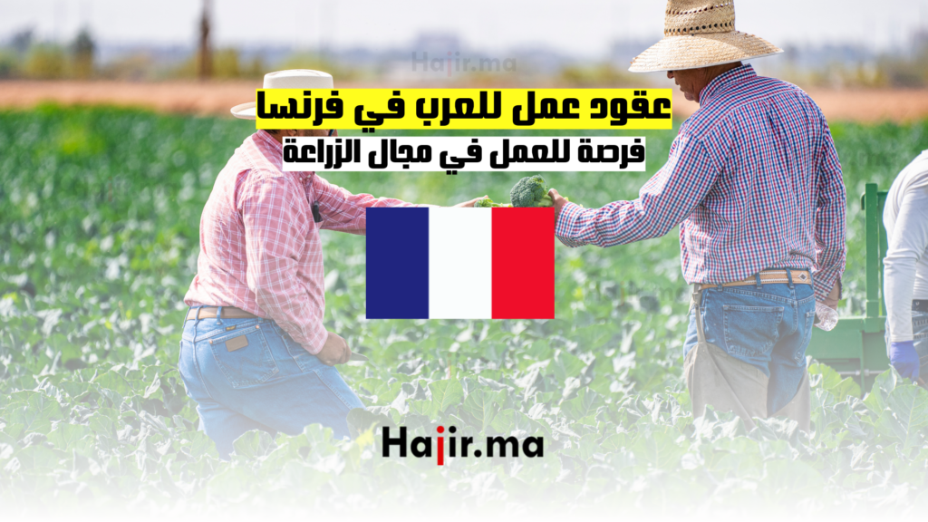 فرنسا تطلب 80 ألف عامل للفلاحة بعقود رسمية 2025